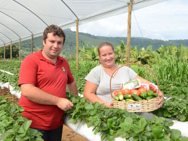 Produtores de hortaliças em SC