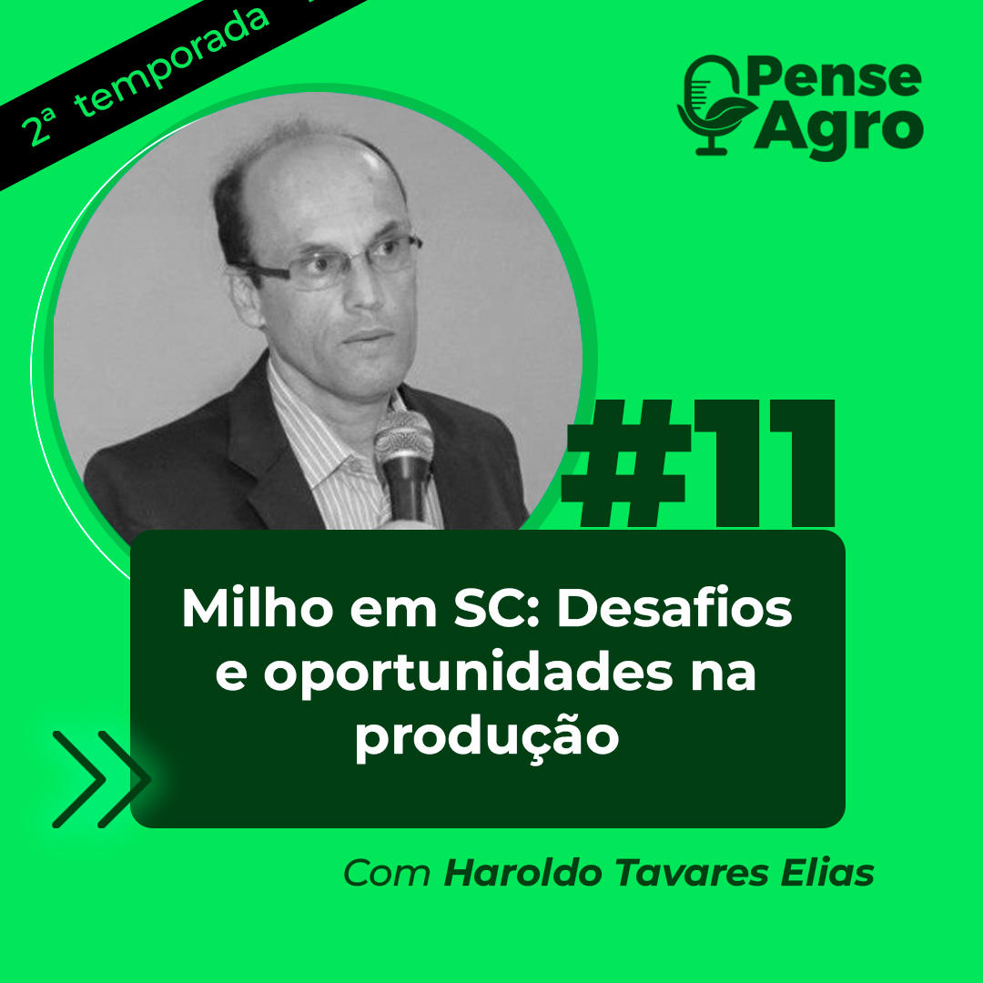 Haroldo Elias no Pense Agro