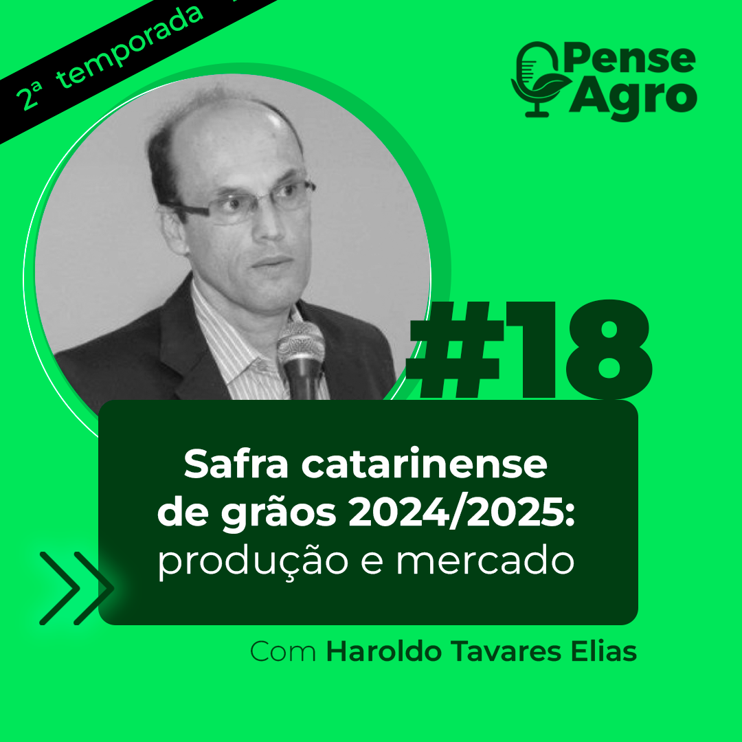 Haroldo Elias no Pense Agro