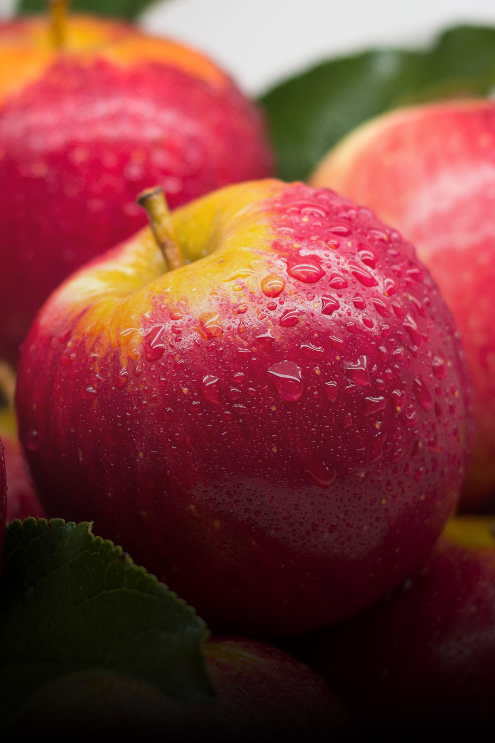 Safra catarinense de maçã encerra com produção quase 24% menor, conforme dados da Epagri/Cepa