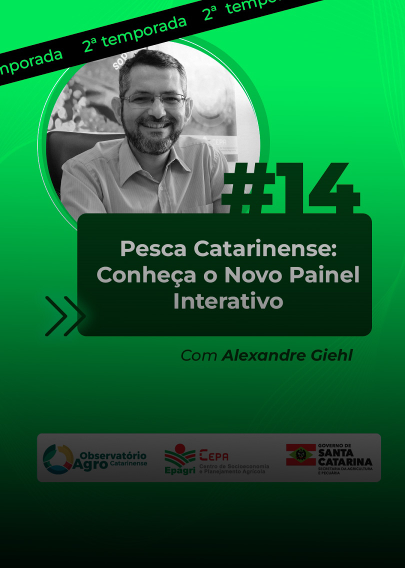 Dados sobre a pesca: especialista fala do novo painel do Observatório