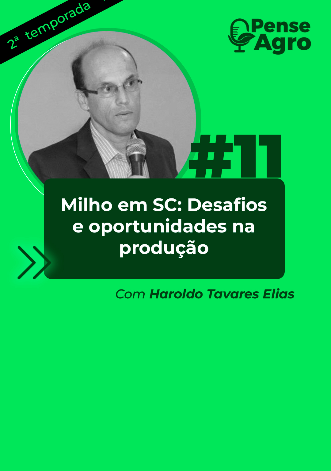 Em podcast, especialista aborda os desafios para a produção de milho em SC