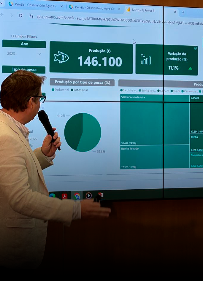 Painel Interativo disponibiliza dados sobre o setor pesqueiro de Santa Catarina