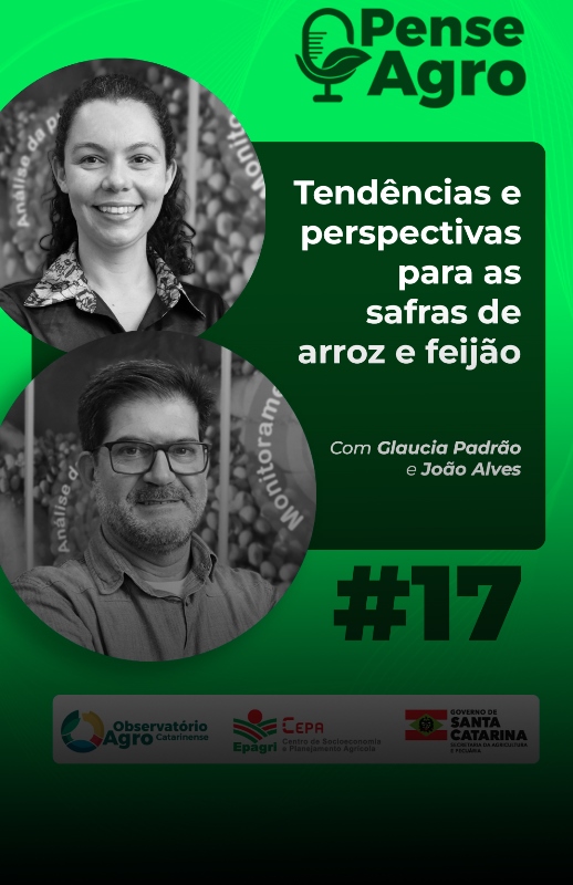 Saiba como está o andamento das safras de arroz e feijão em SC