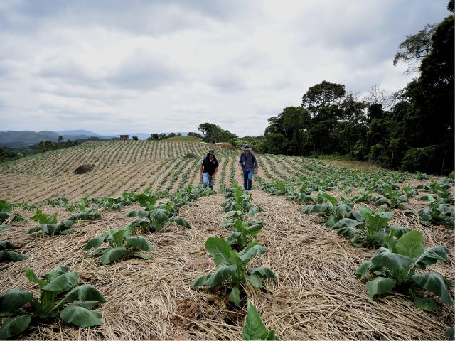 Epagri completa 33 anos: sustentabilidade é o nosso presente