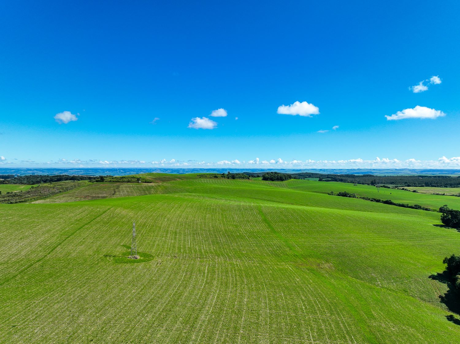 Governo do Estado lança o Safra Garantida SC com R$ 84 milhões em investimentos para proteger agricultores familiares