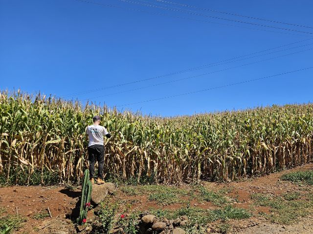 Epagri e Sicoob promovem Giro da Safra no Oeste de SC