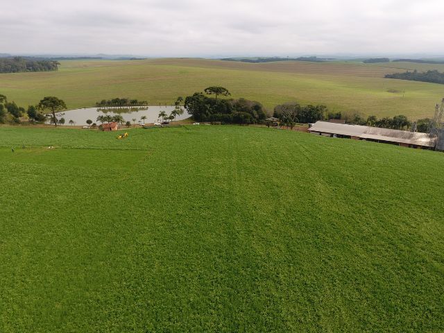 Epagri apresenta os resultados do agronegócio catarinense em 2024