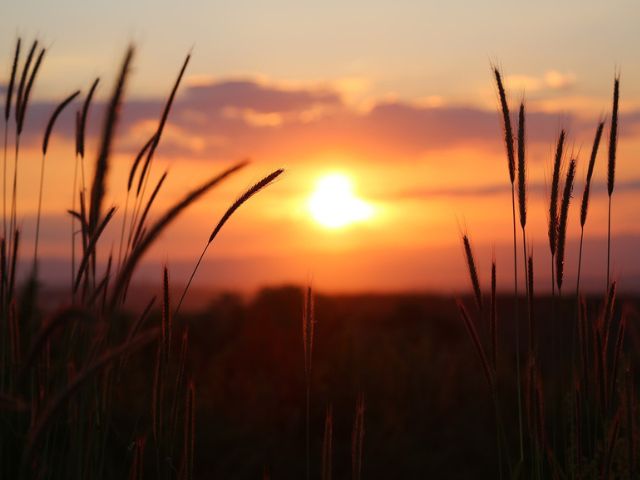 Temperaturas altas devem persistir em Santa Catarina durante o mês de março